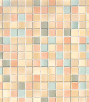 MINI RLX ADH 0.45X2M PIENZA