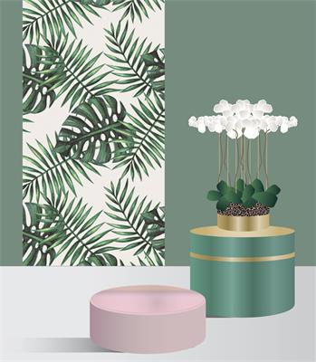 MINI RLX ADH 0,45X2M FEUILLE EXOTIC